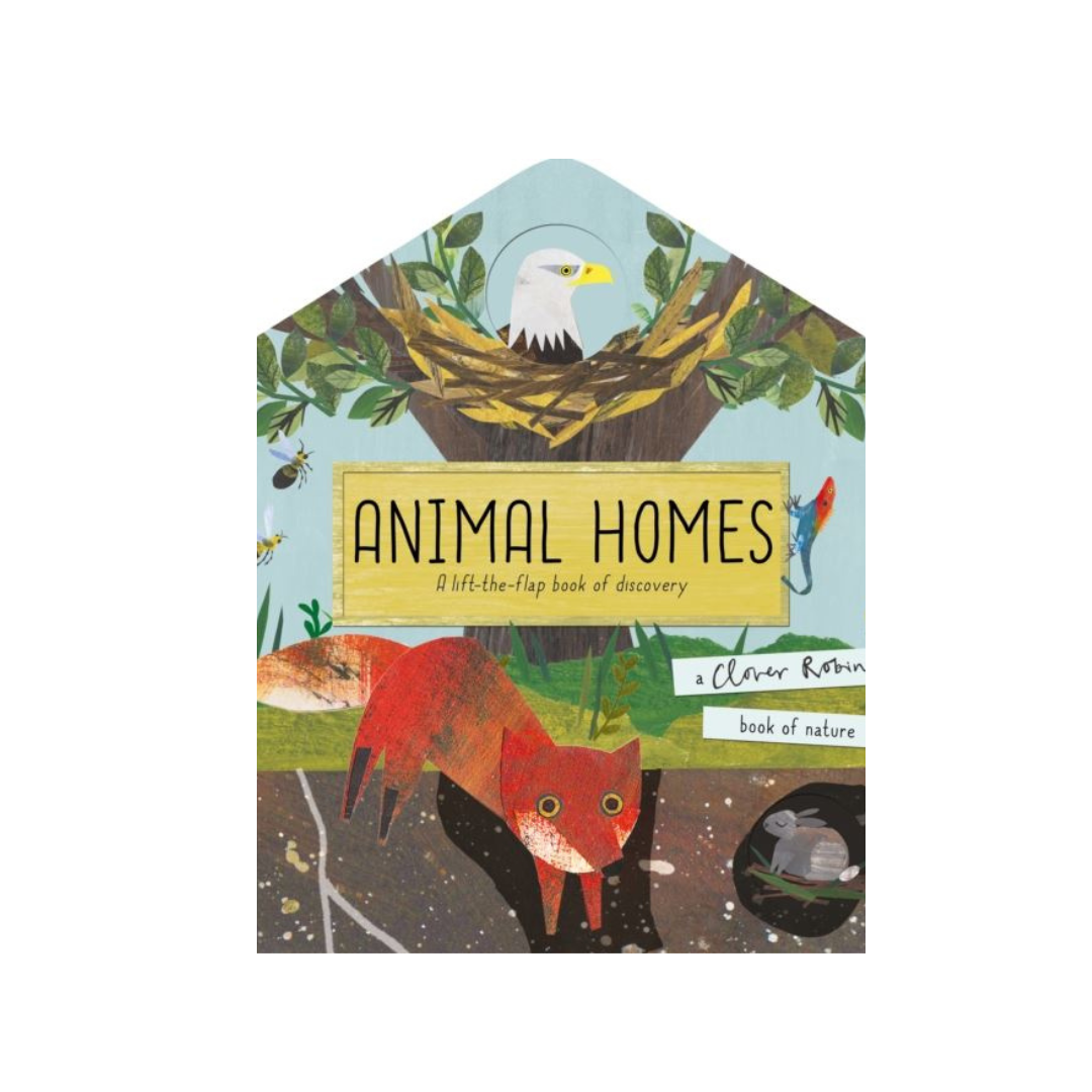 Animal Homes (Lift the Flap) Childrens Book