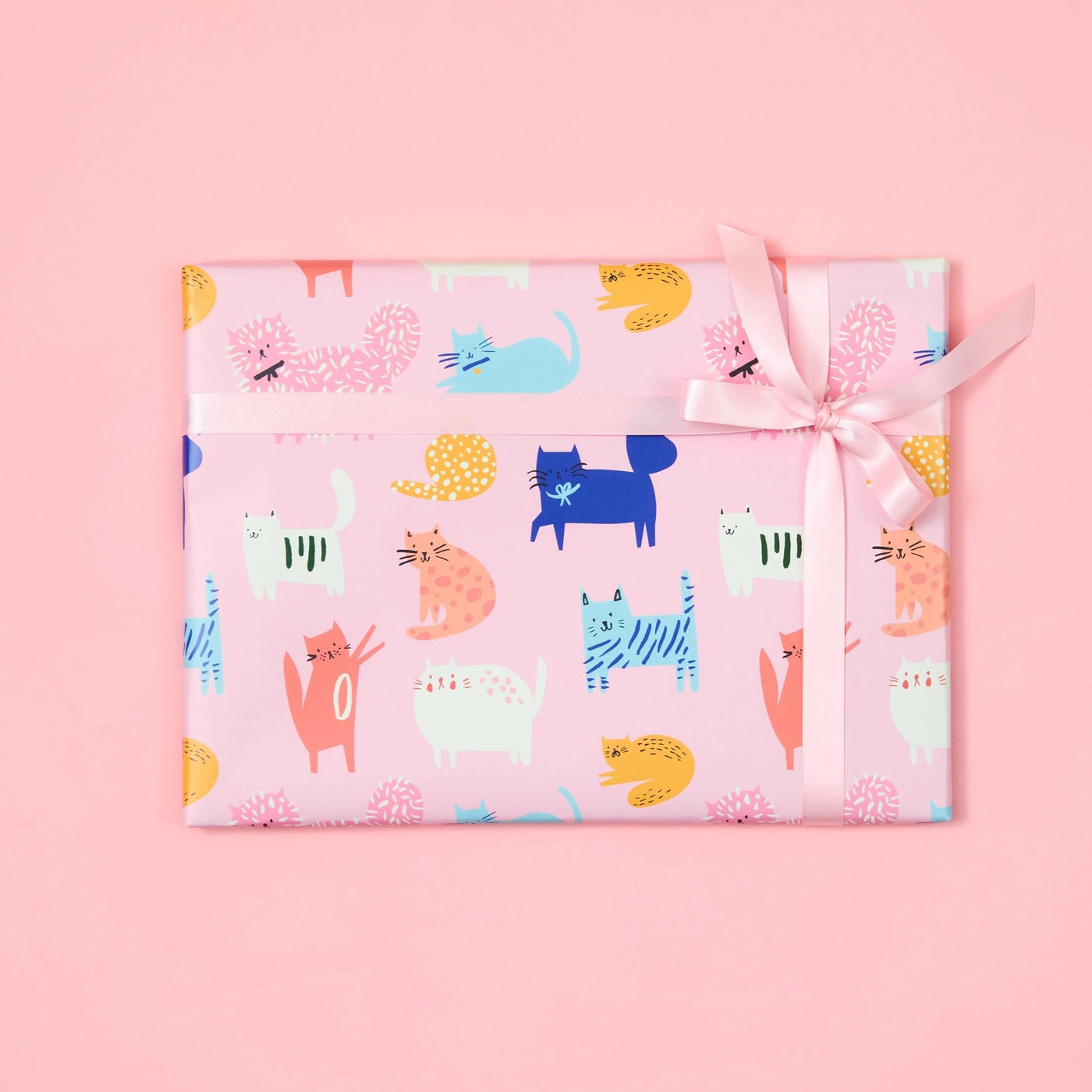Cute Cats Wrapping Paper - Gift Wrap - Edie & Eve